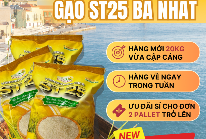 Lô hàng gạo ST25 Ba Nhất vừa cập cảng – Ưu đãi đặc biệt cho khách sỉ tháng 11